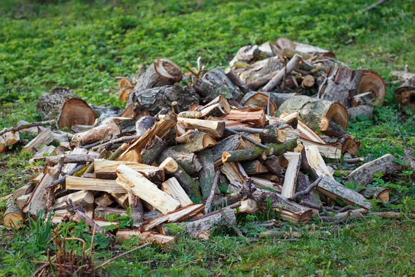 Pile Bois Chauffage Dans Jardin Sur Herbe — Photo