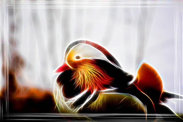 Mandarinenente Gefiederter Vogel — Stockfoto