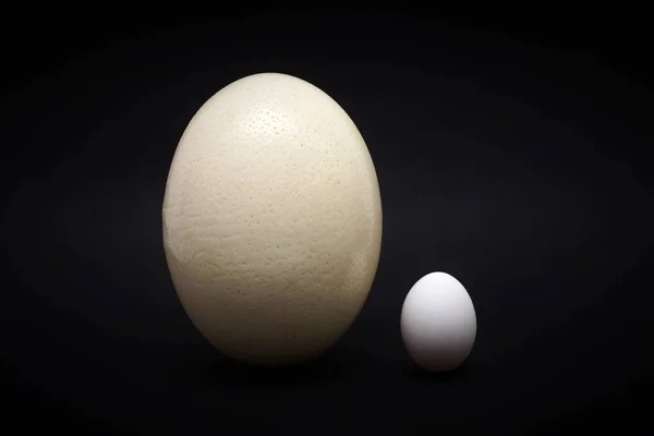 Страусове Яйце Куряче Яйце — стокове фото