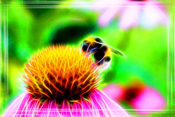 Närbild Bild Vackra Humla Insekt — Stockfoto