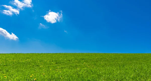 Frodig Grön Äng Med Små Moln Himlen — Stockfoto