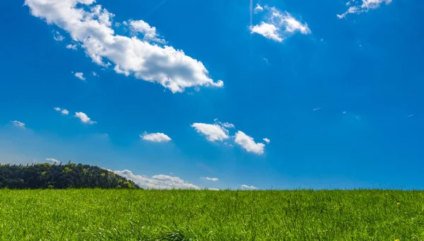 Frodig Grön Äng Med Små Moln Himlen — Stockfoto