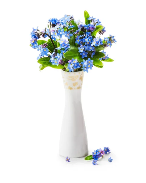 Romantische Bouquet Von Vergissmeinnicht Blumen Retro Vase Isoliert Auf Weißem — Stockfoto