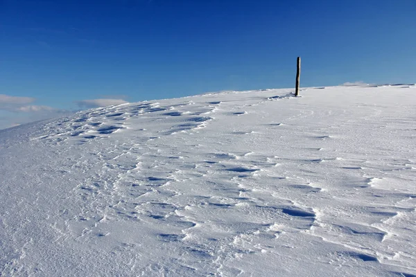 Puesto Valla Solitario Nieve Fría Soplada Viento — Foto de Stock