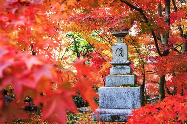 Φθινοπωρινά Χρώματα Στην Ιαπωνία Όμορφο Φθινόπωρο Φύλλα — Φωτογραφία Αρχείου
