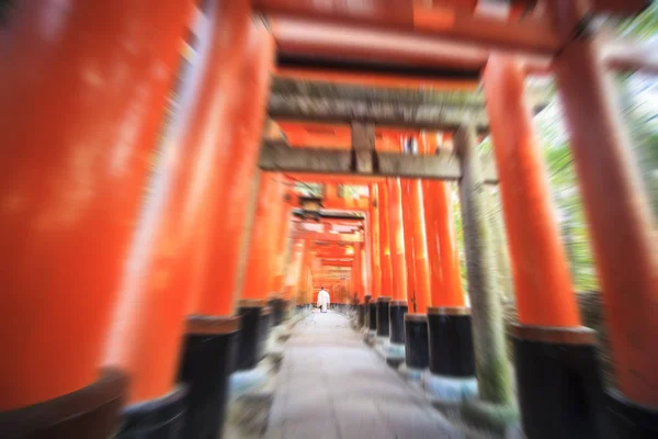 Red Tori Gate Fushimi Inari Shrine Kyoto Japan Selektivní Ostření — Stock fotografie