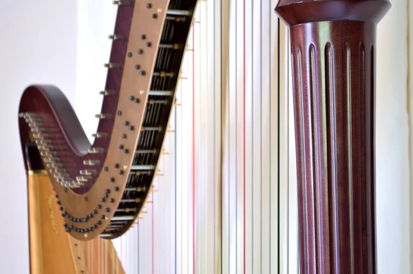 Closeup of the base of a dark wood, concert grand, pedal harp. Pedals and soundboard in detail.