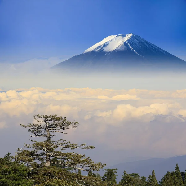 Hermoso Paisaje Con Bonito Color Fondo — Foto de Stock