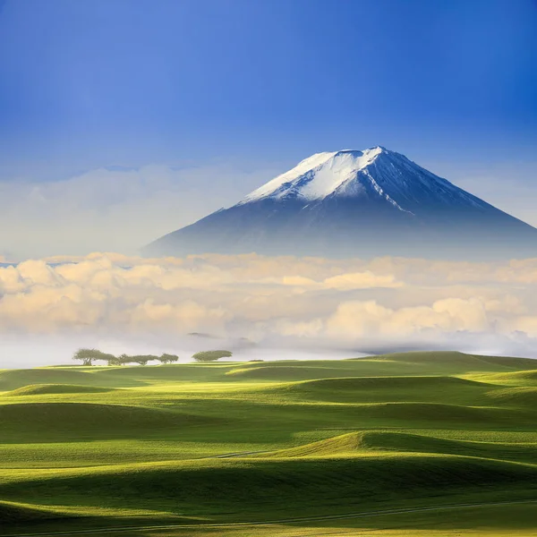 Bellissimo Paesaggio Con Bel Colore Sfondo — Foto Stock