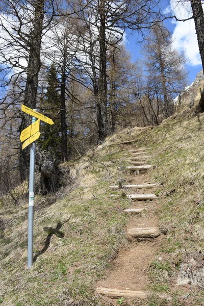 Nationaal Park Dorfertal Kals Hohe Tauern Oost Tirol — Stockfoto