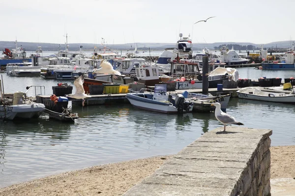 Poole Harbour Dorset England — Stockfoto