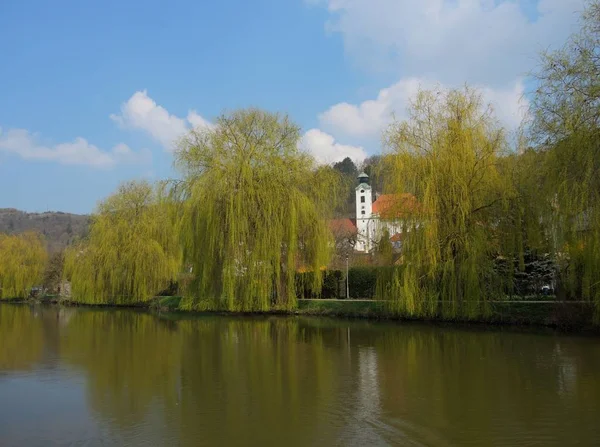 Vue Sur Rivière Dans Parc — Photo