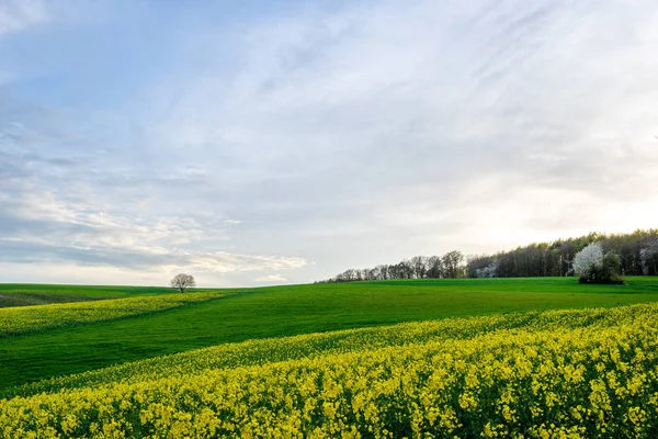 Pittoresk Uitzicht Natuur — Stockfoto