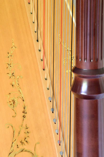 Closeup Pedal Harp Column Strings Soundboard — 스톡 사진