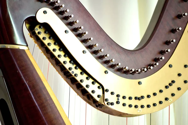 Closeup Mechanisms Concert Grand Pedal Harp — Stok fotoğraf