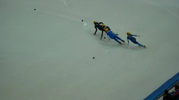2014 Short Track Competition Winter Olympic Games Sochi 2014 — 스톡 사진