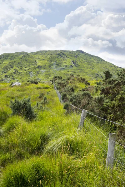 Vista Desde Una Hermosa Ruta Senderismo Camino Cerezo Irlanda Valla — Foto de Stock