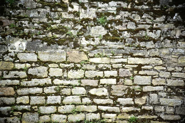 the close-up of a wall of square old rock with moss in the cracks and joints.