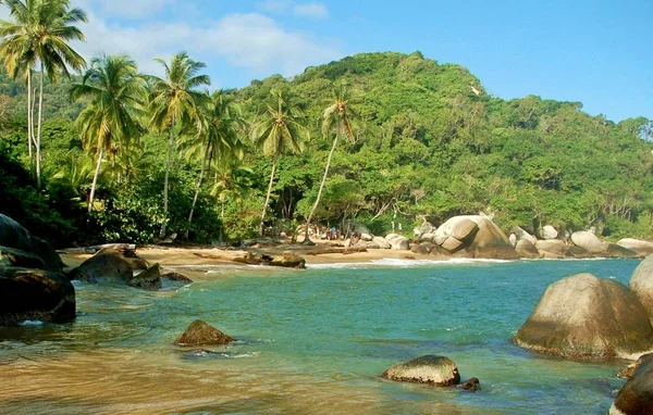 Tayrona Nationaal Park Colombië Kariboe — Stockfoto