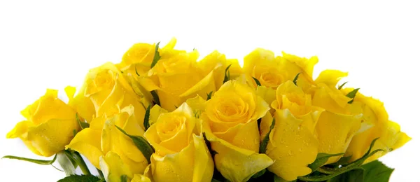 Gelber Rosenstrauß Isoliert Auf Weißem Hintergrund — Stockfoto