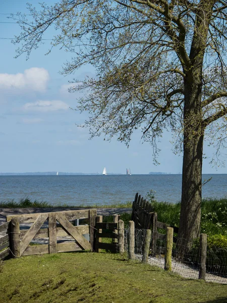 Miejsce Enkhuizen Dolnej Części Kraju — Zdjęcie stockowe