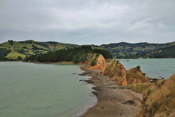 Paisaje Nueva Zelanda Centro Viejo Vulcano Bancos Península — Foto de Stock