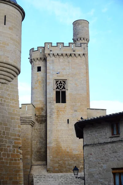 Olite Dans Province Navarre Maison Faits Saillants Castle Espagne — Photo