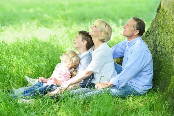 Familia Feliz Sentada Bajo Árbol Mirando Hacia Arriba — Foto de Stock