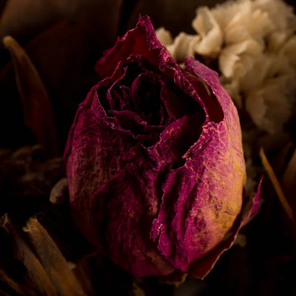 Dekoration Von Getrockneten Blumen Rosen Aus Nächster Nähe Foto — Stockfoto