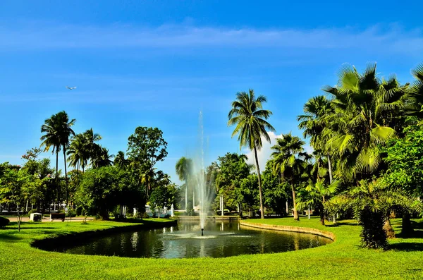 Wunderschöner Tropischer Garten Mit Palmen Und Blauem Himmel — Stockfoto