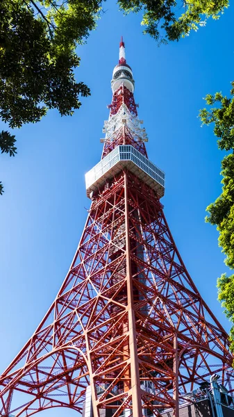 東京都 2016年5月13日 — ストック写真