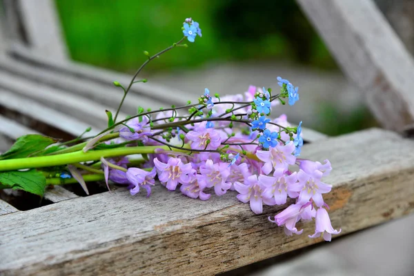 Λουλούδια Μια Καρέκλα Κήπου Την Άνοιξη — Φωτογραφία Αρχείου