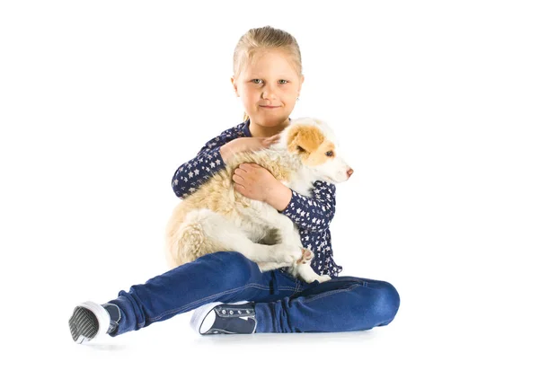 Маленькая Девочка Пограничная Колли Puppy Child Молодой Собакой Изолированы Белом — стоковое фото