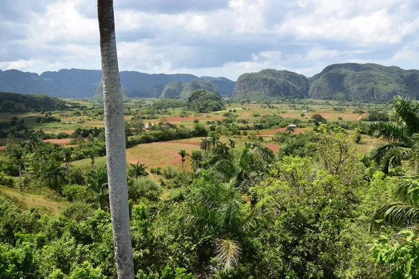 Küba Tarlaları Karst Tepeleri Olan Bir Manzara — Stok fotoğraf
