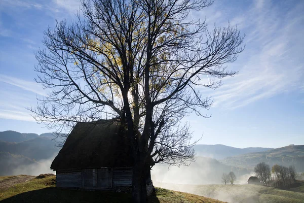 파노라마 Transylvania 루마니아 산맥에 — 스톡 사진
