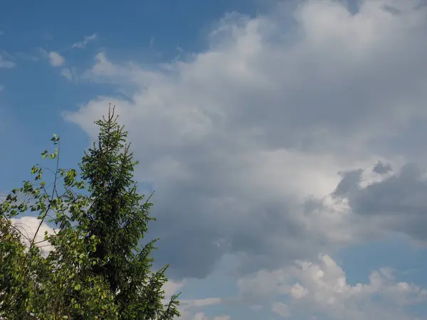 雲とコピースペースの背景として有用な木と青い空 — ストック写真