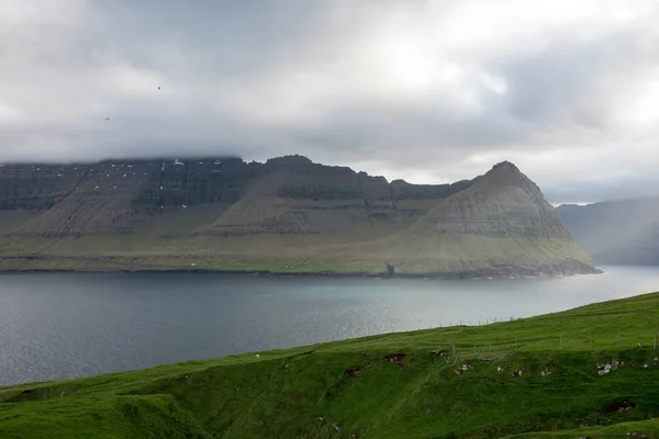 Paisagem Típica Nas Ilhas Faroé Com Grama Verde Rochas Como — Fotografia de Stock