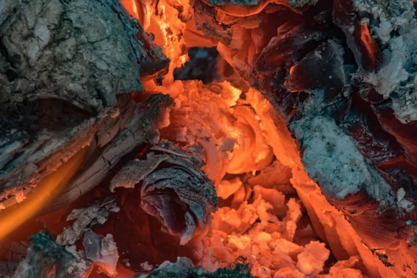 Ξύλινα Κάρβουνα Πυρκαϊάς Κοντινό Πλάνο — Φωτογραφία Αρχείου