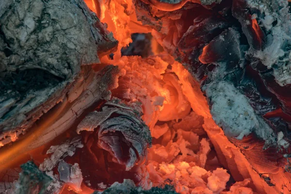 Yakından Ateş Saçan Odunlar — Stok fotoğraf