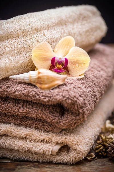 Close Brown Towels Orchid Flower — Stock Photo, Image