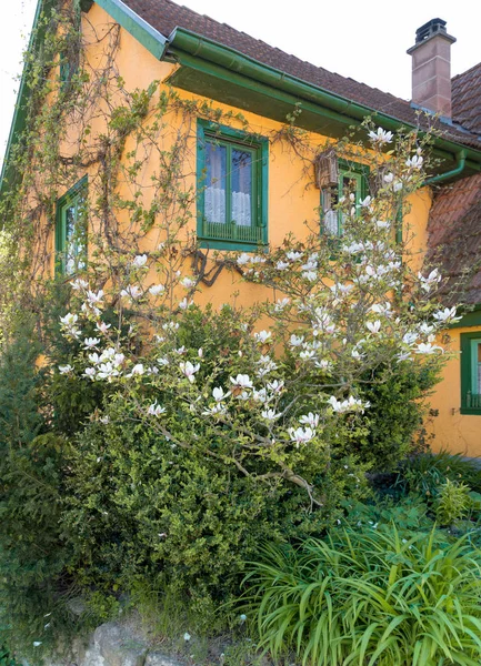 Detalhes Casa Coberta Idílica Uma Aldeia Hohenlohe Chamado Baechlingen — Fotografia de Stock