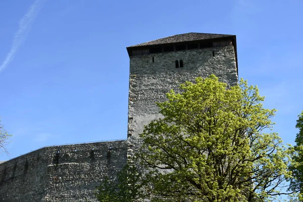 Zamek Kaprun Zamek Kaprun Zamek Zamek Burgfried Mur Zamkowy Wieża — Zdjęcie stockowe