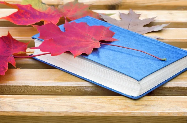 Wooden Bench Park Book Red Fallen Autumn Leaves — Stock Photo, Image