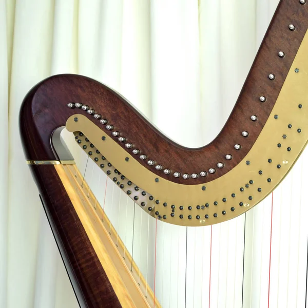 Close Van Snaren Mechanismen Van Een Concertgrootse Pedaalharp — Stockfoto