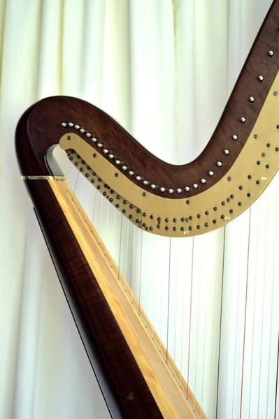 Fechar Cordas Mecanismos Concerto Grande Pedal Harpa — Fotografia de Stock