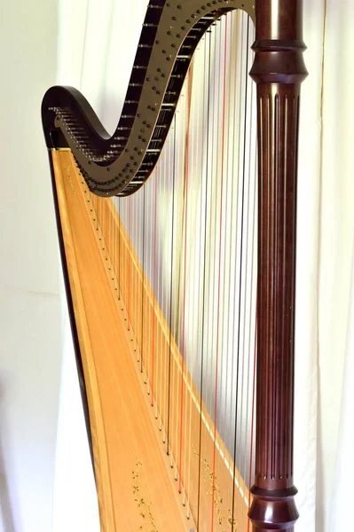 Büyük Bir Konserin Ayrıntılı Fotoğrafı Pedal Harp — Stok fotoğraf