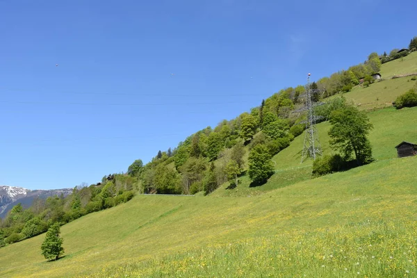 Zell See Pointner Βουνό Βουνό Hohe Tauern Λιβάδι Δάσος Απότομες — Φωτογραφία Αρχείου