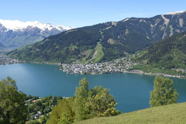 Zeller Ver Lago Zell See Salzburgo Pinzgau Región Vacaciones Montañas —  Fotos de Stock