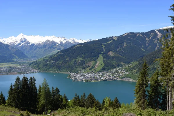 Zeller Göl Zell See Salzburg Pinzgau Tatil Bölgesi Dağlar — Stok fotoğraf