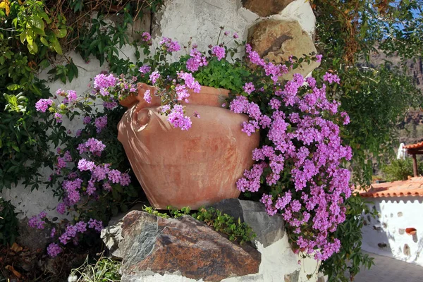 Hermoso Plano Botánico Fondo Pantalla Natural — Foto de Stock